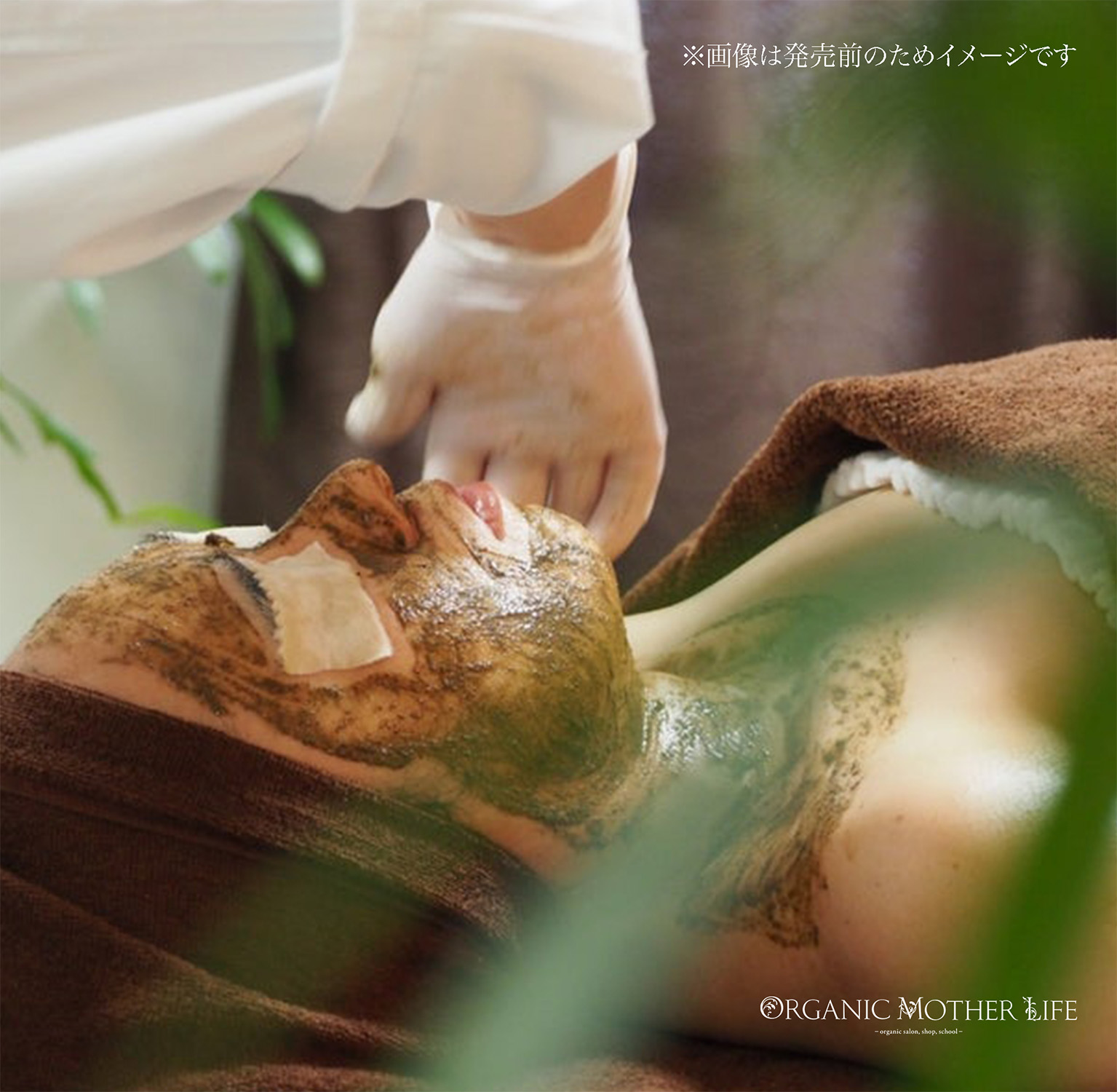 一般パウダー